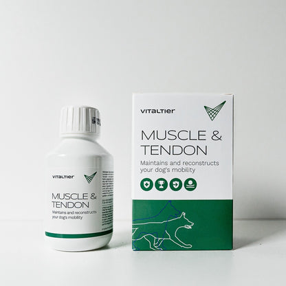 Muscle & Tendon 500 ml