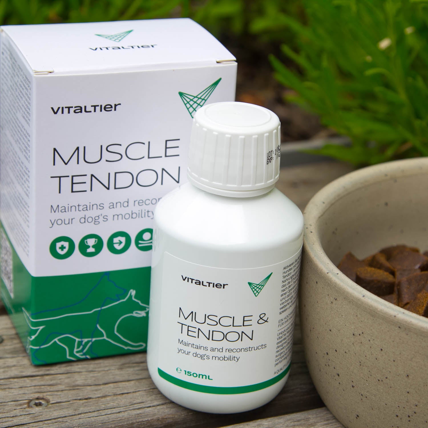 Vitaltier Muscle and tendon 