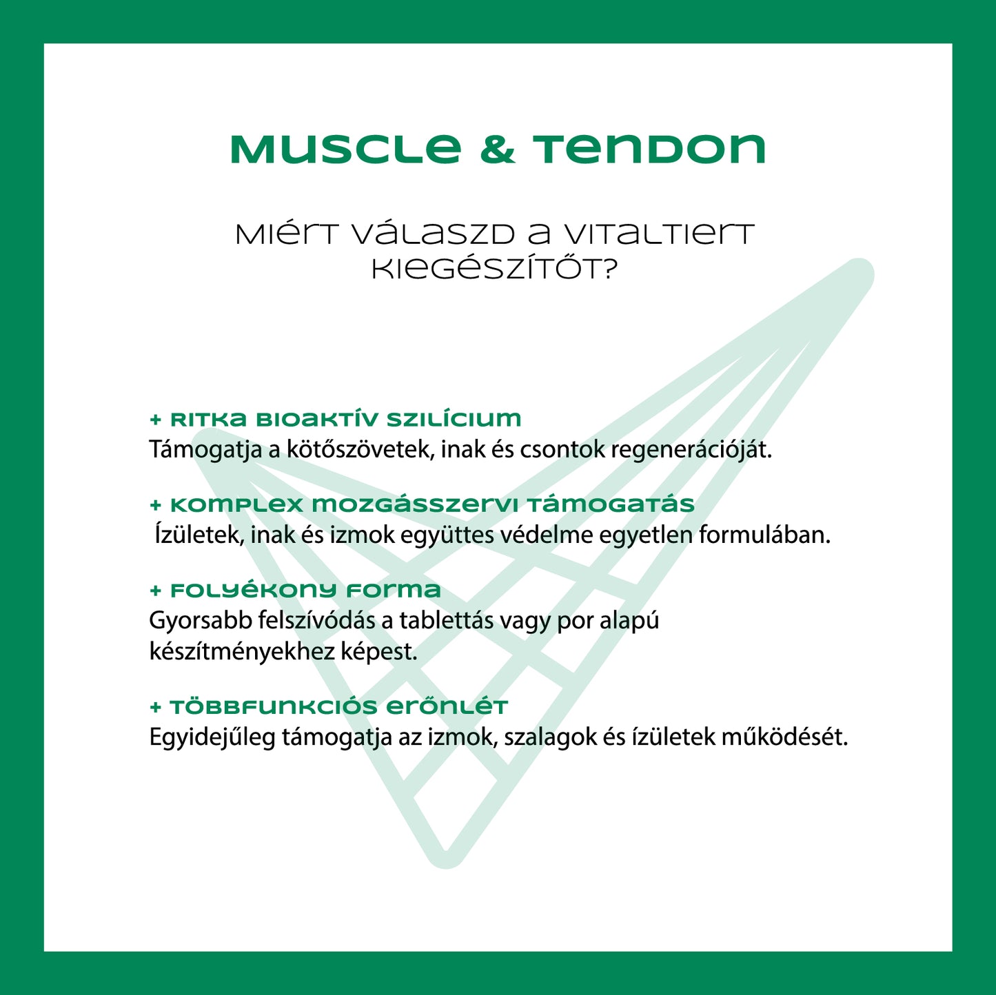 Muscle & Tendon 500 ml