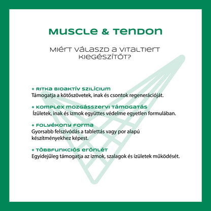 Muscle & Tendon