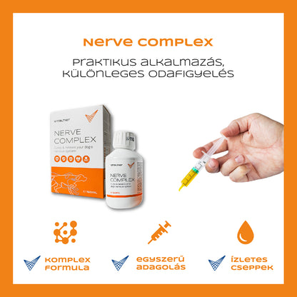 Nerve Complex