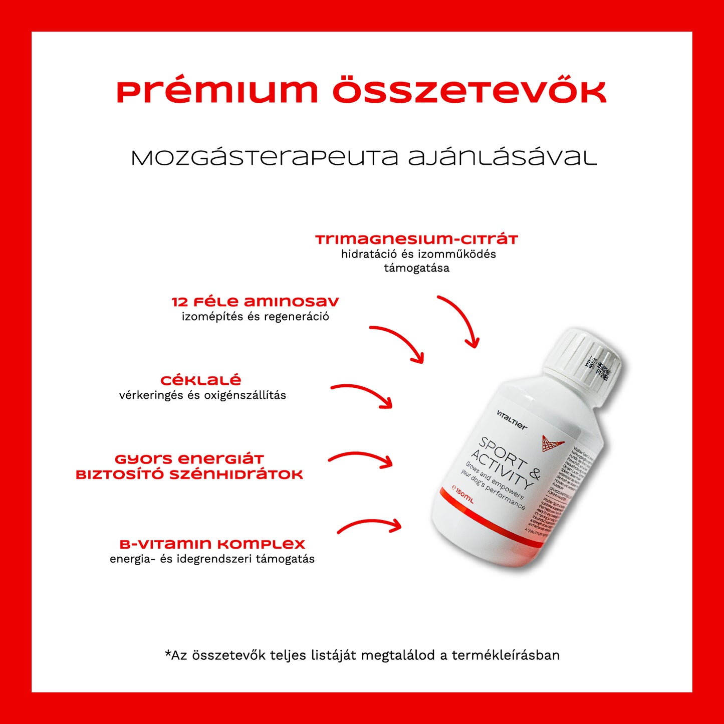 Sport & Activity