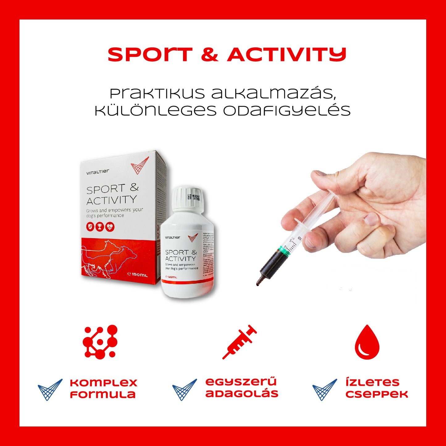 Sport & Activity